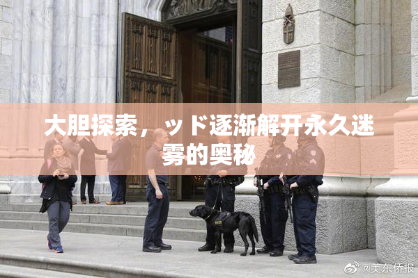 大胆探索，ッド逐渐解开永久迷雾的奥秘