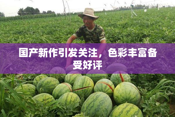 国产新作引发关注，色彩丰富备受好评