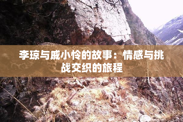 李琼与戚小怜的故事：情感与挑战交织的旅程