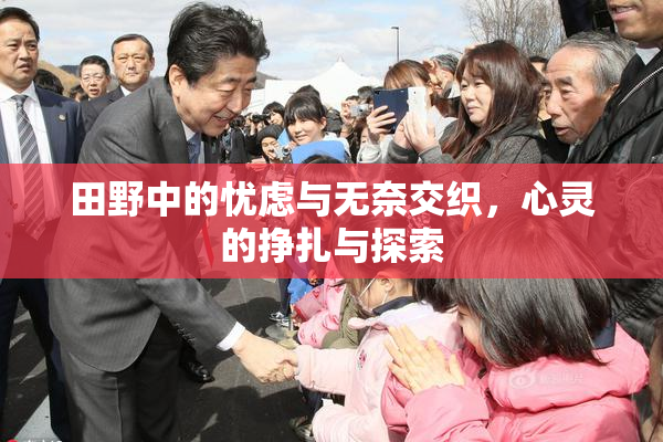 田野中的忧虑与无奈交织，心灵的挣扎与探索