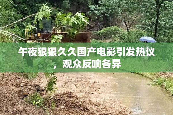 午夜狠狠久久国产电影引发热议，观众反响各异