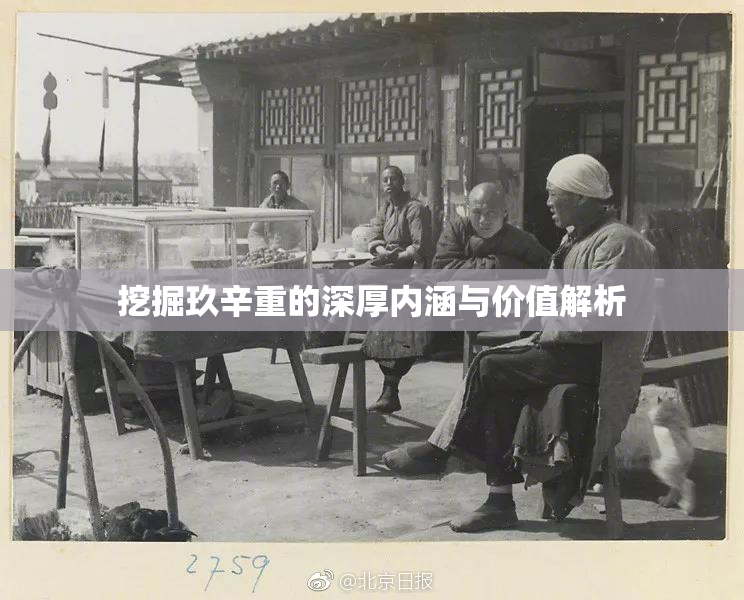 挖掘玖辛重的深厚内涵与价值解析