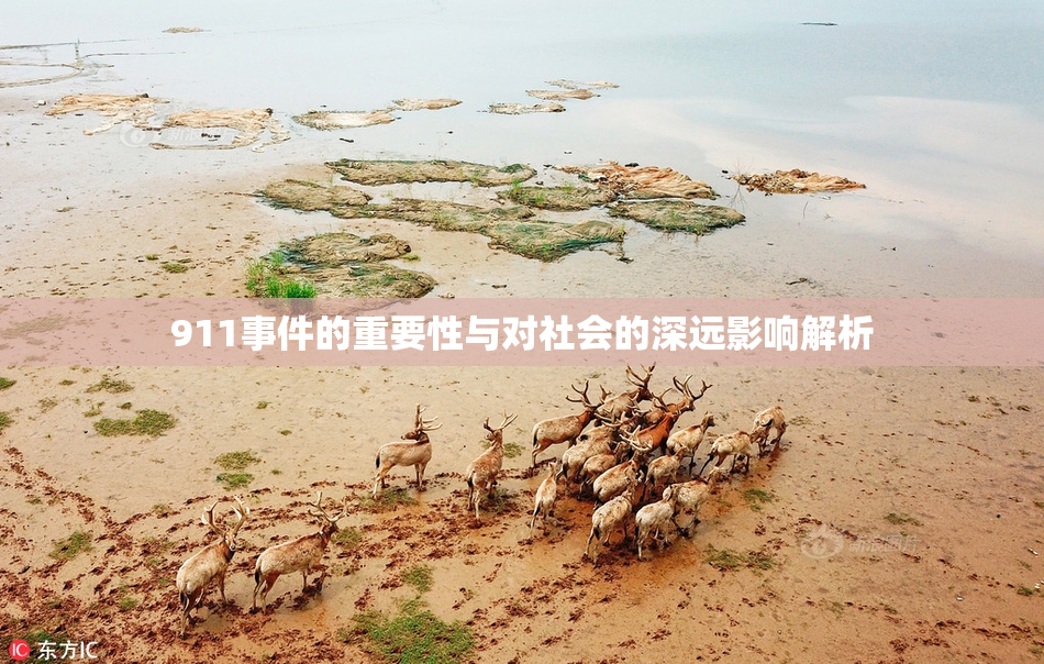 911事件的重要性与对社会的深远影响解析