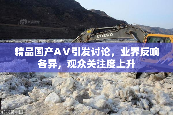 精品国产AⅤ引发讨论，业界反响各异，观众关注度上升