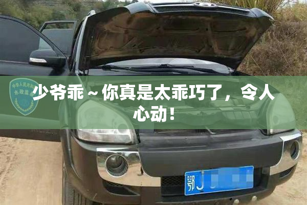 少爷乖～你真是太乖巧了，令人心动！