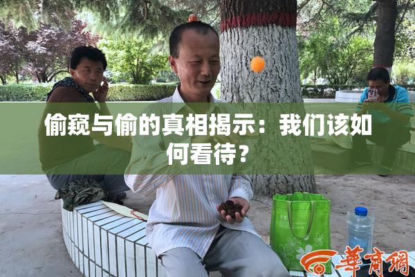 偷窥与偷的真相揭示：我们该如何看待？