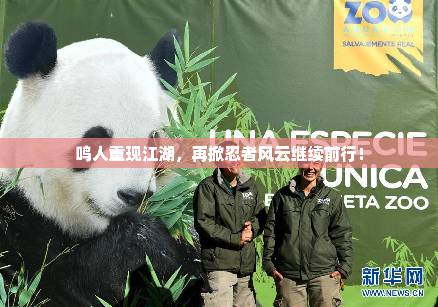鸣人重现江湖，再掀忍者风云继续前行！