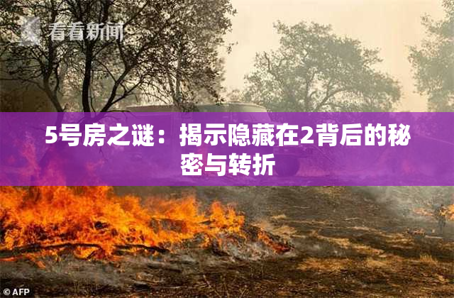 5号房之谜：揭示隐藏在2背后的秘密与转折