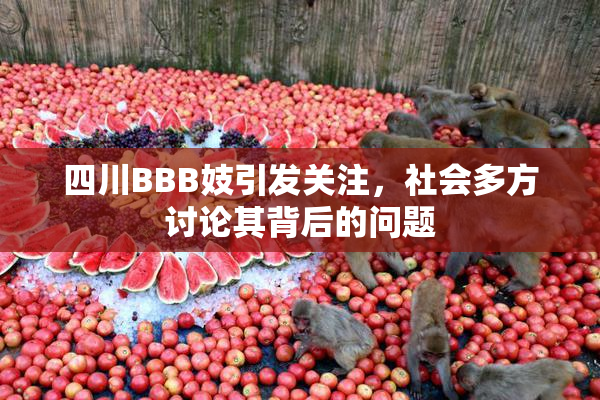 四川BBB妓引发关注，社会多方讨论其背后的问题