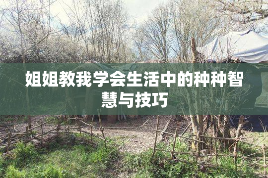 姐姐教我学会生活中的种种智慧与技巧