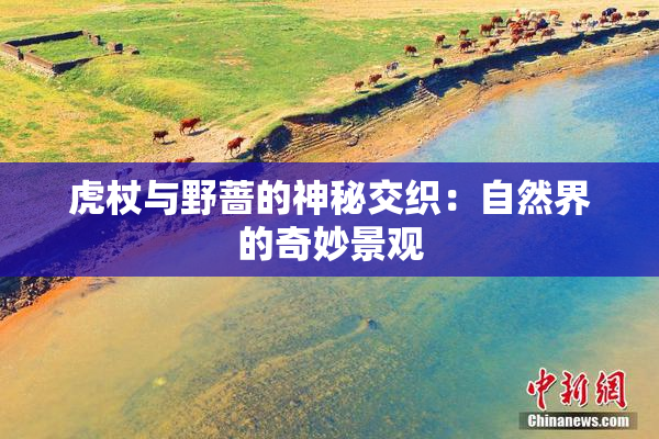 虎杖与野蔷的神秘交织：自然界的奇妙景观