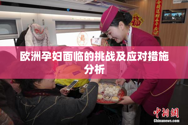 欧洲孕妇面临的挑战及应对措施分析