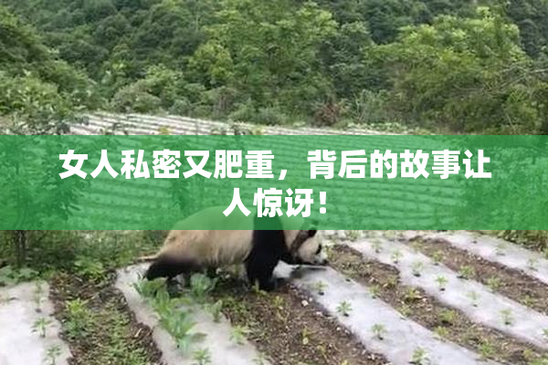 女人私密又肥重，背后的故事让人惊讶！