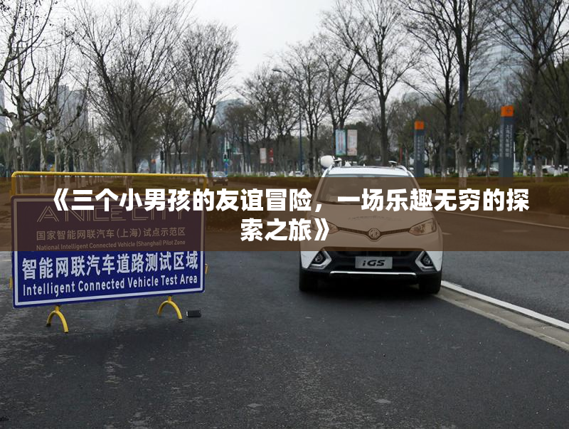 《三个小男孩的友谊冒险，一场乐趣无穷的探索之旅》