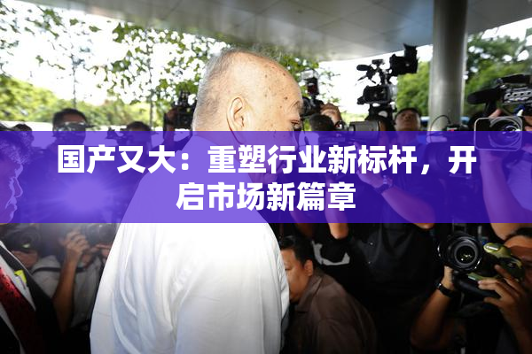 国产又大：重塑行业新标杆，开启市场新篇章