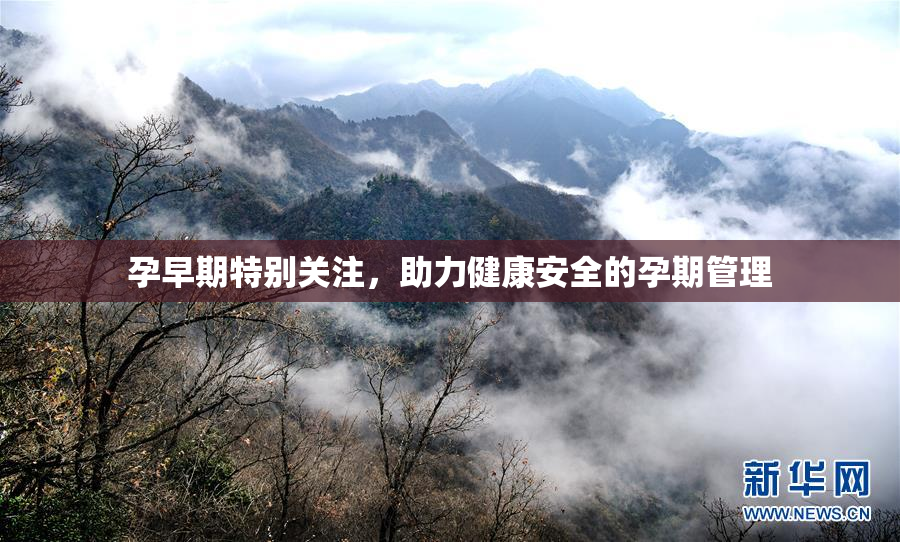 孕早期特别关注，助力健康安全的孕期管理