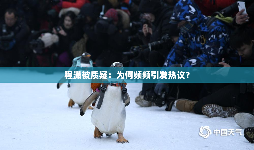 程潇被质疑：为何频频引发热议？