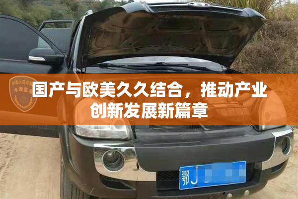 国产与欧美久久结合，推动产业创新发展新篇章