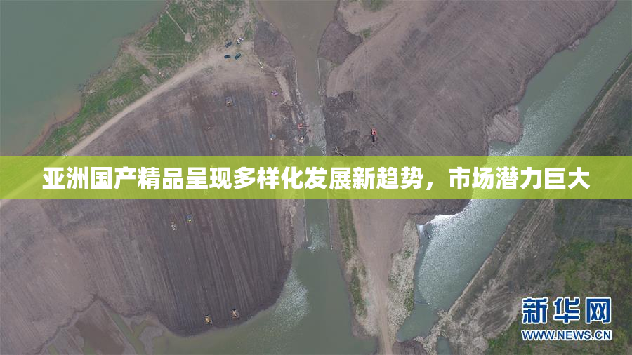 亚洲国产精品呈现多样化发展新趋势，市场潜力巨大