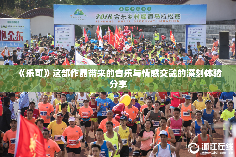 《乐可》这部作品带来的音乐与情感交融的深刻体验分享