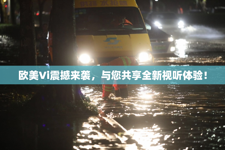 欧美Vi震撼来袭，与您共享全新视听体验！