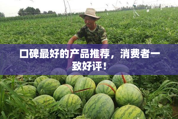 口碑最好的产品推荐，消费者一致好评！