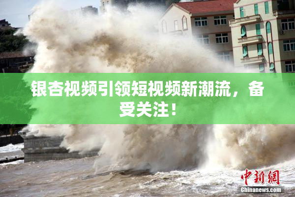 银杏视频引领短视频新潮流，备受关注！