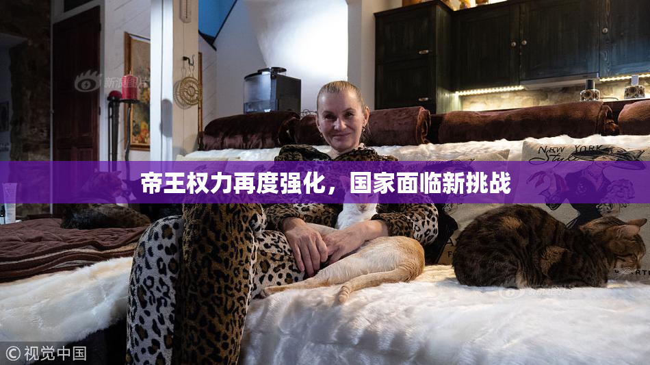 帝王权力再度强化，国家面临新挑战