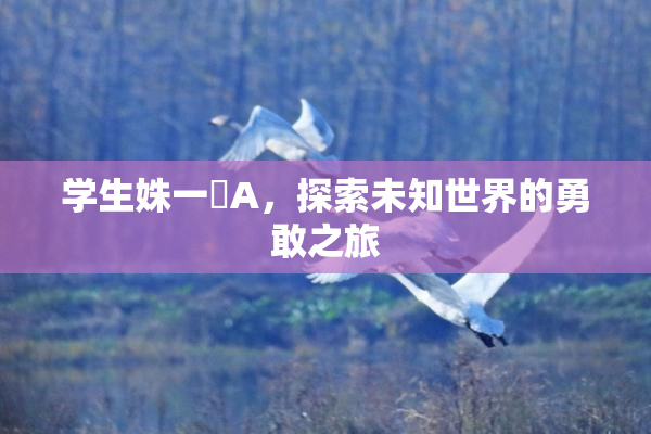 学生姝一﨤A，探索未知世界的勇敢之旅