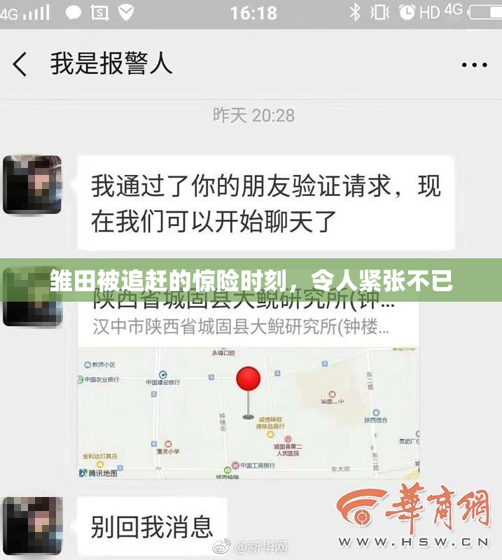 雏田被追赶的惊险时刻，令人紧张不已