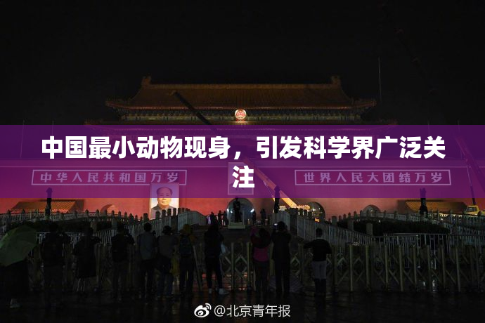 中国最小动物现身，引发科学界广泛关注