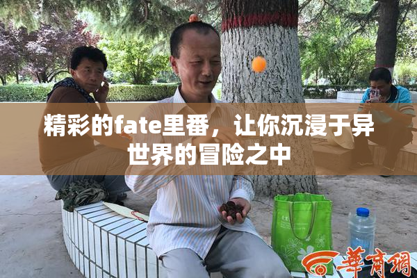 精彩的fate里番，让你沉浸于异世界的冒险之中