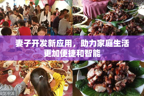 妻子开发新应用，助力家庭生活更加便捷和智能