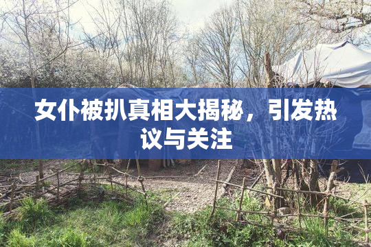 女仆被扒真相大揭秘，引发热议与关注