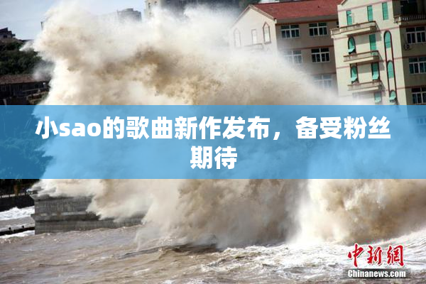 小sao的歌曲新作发布，备受粉丝期待