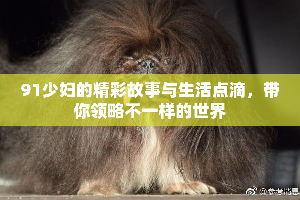 91少妇的精彩故事与生活点滴，带你领略不一样的世界