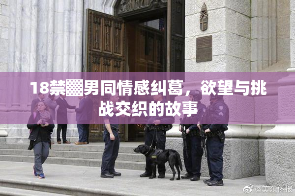 18禁▓男同情感纠葛，欲望与挑战交织的故事
