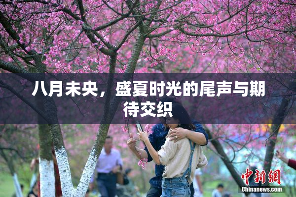八月未央，盛夏时光的尾声与期待交织