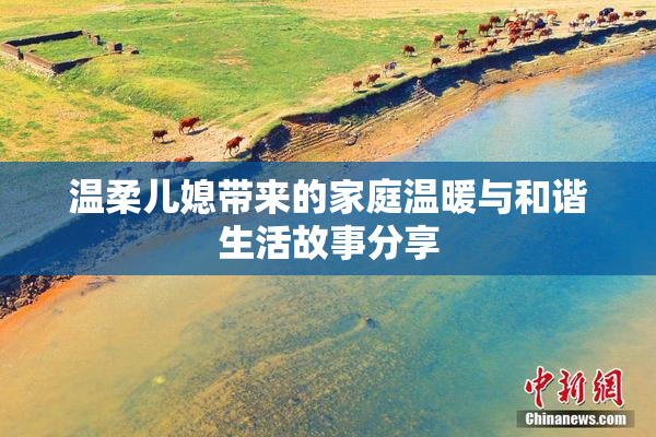 温柔儿媳带来的家庭温暖与和谐生活故事分享