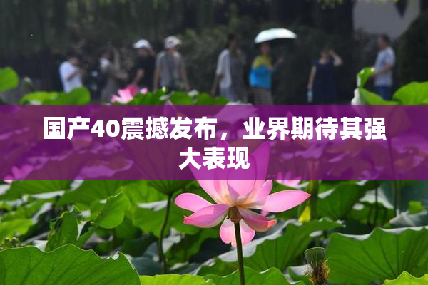 国产40震撼发布，业界期待其强大表现