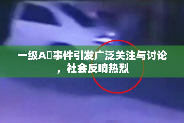 一级A婬事件引发广泛关注与讨论，社会反响热烈