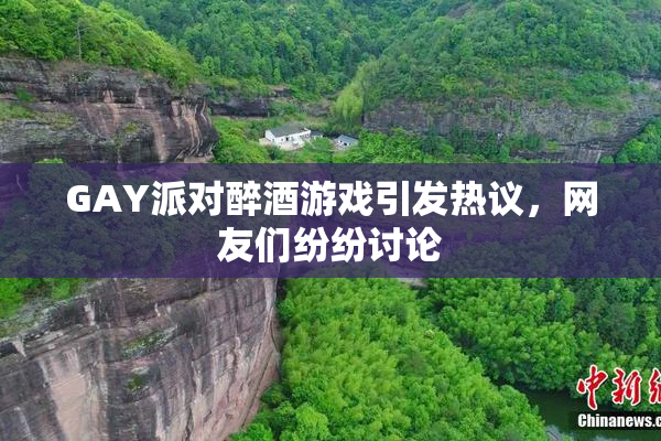 GAY派对醉酒游戏引发热议，网友们纷纷讨论