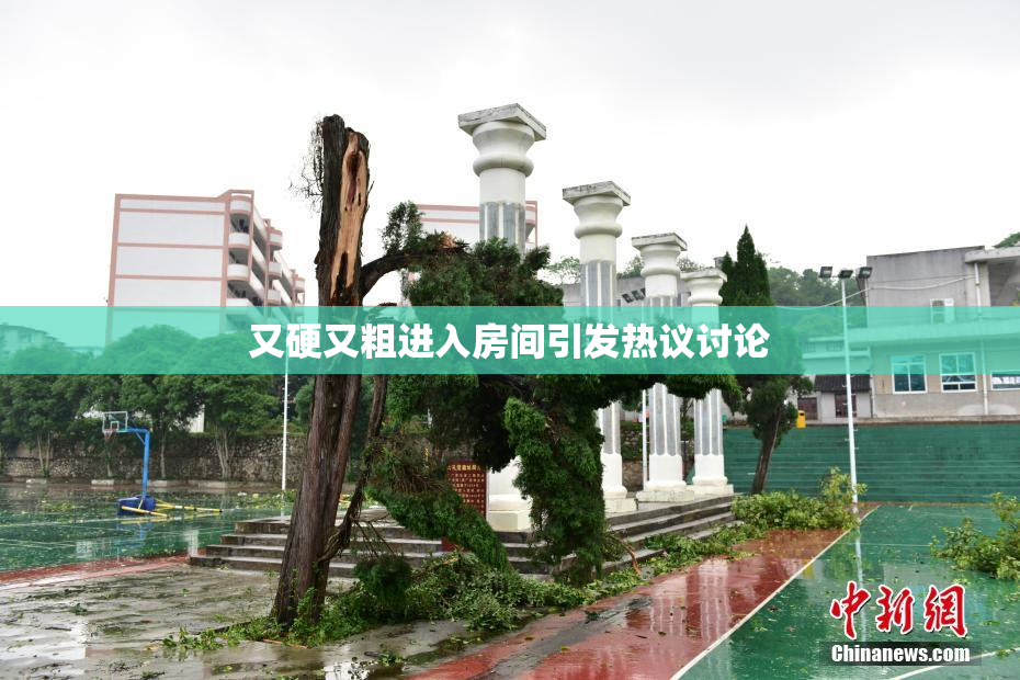 又硬又粗进入房间引发热议讨论