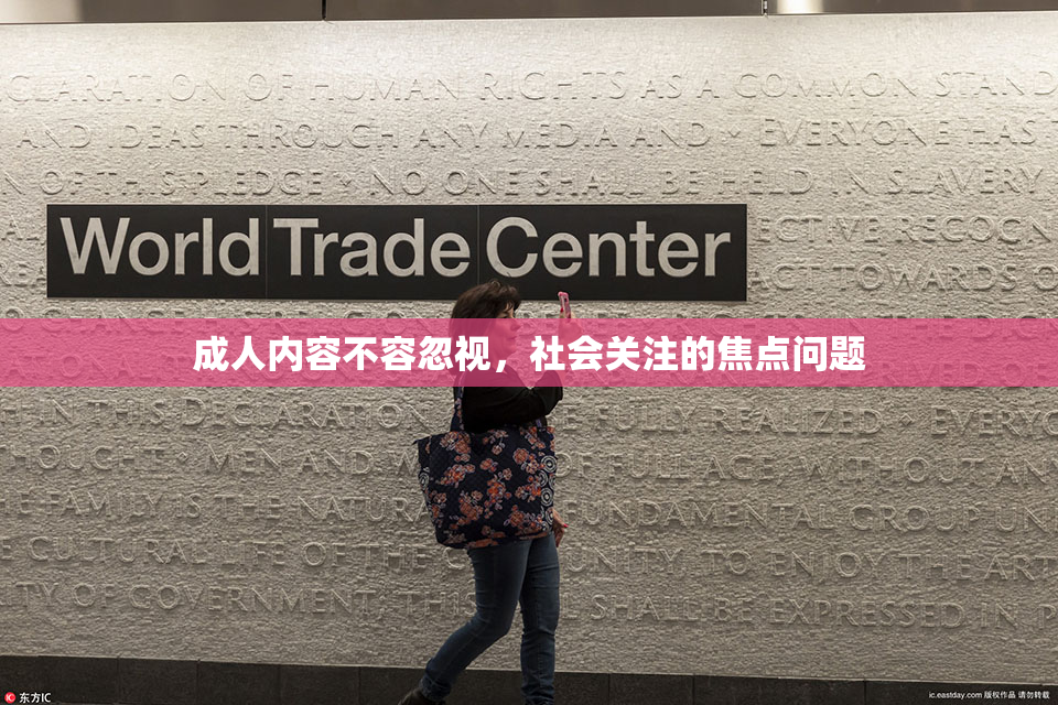 成人内容不容忽视，社会关注的焦点问题