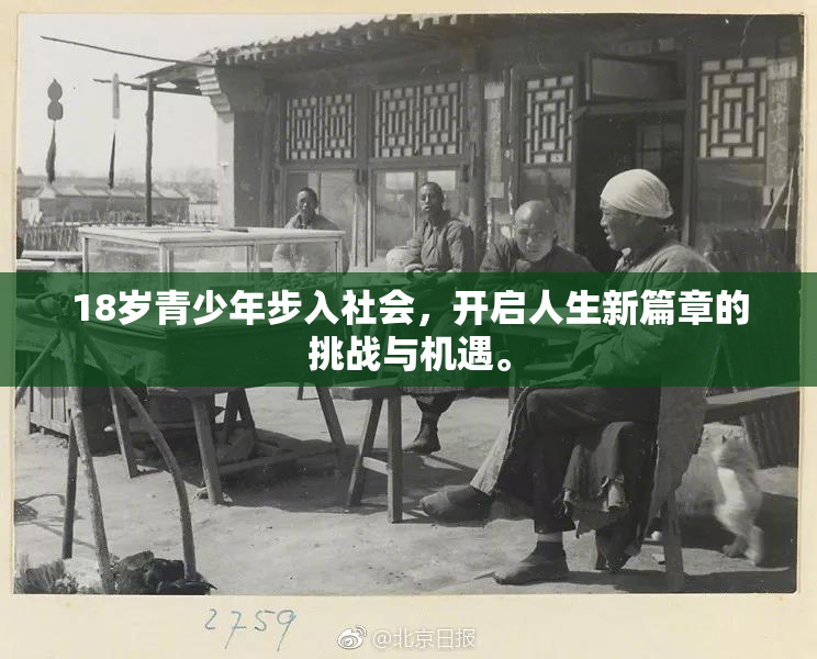 18岁青少年步入社会，开启人生新篇章的挑战与机遇。