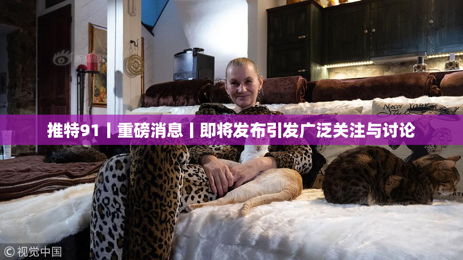 推特91丨重磅消息丨即将发布引发广泛关注与讨论