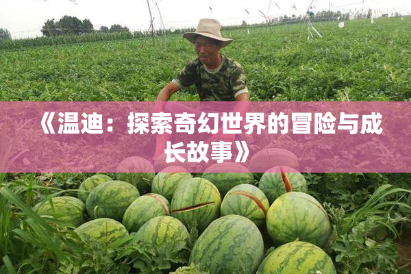 《温迪：探索奇幻世界的冒险与成长故事》