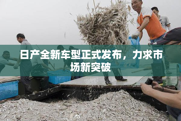 日产全新车型正式发布，力求市场新突破