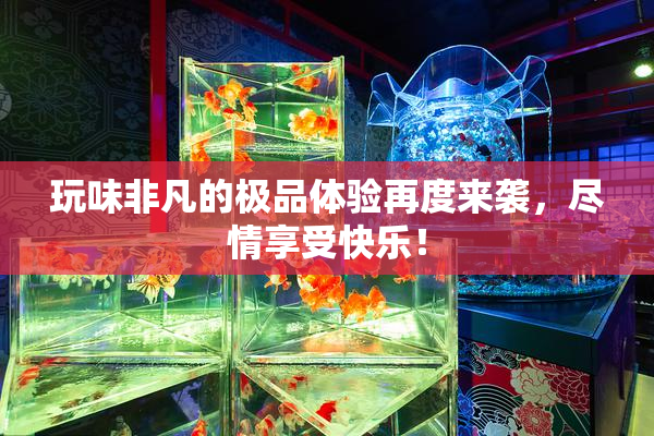 玩味非凡的极品体验再度来袭，尽情享受快乐！