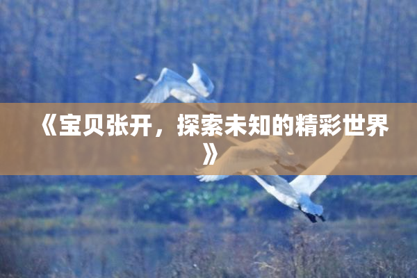 《宝贝张开，探索未知的精彩世界》